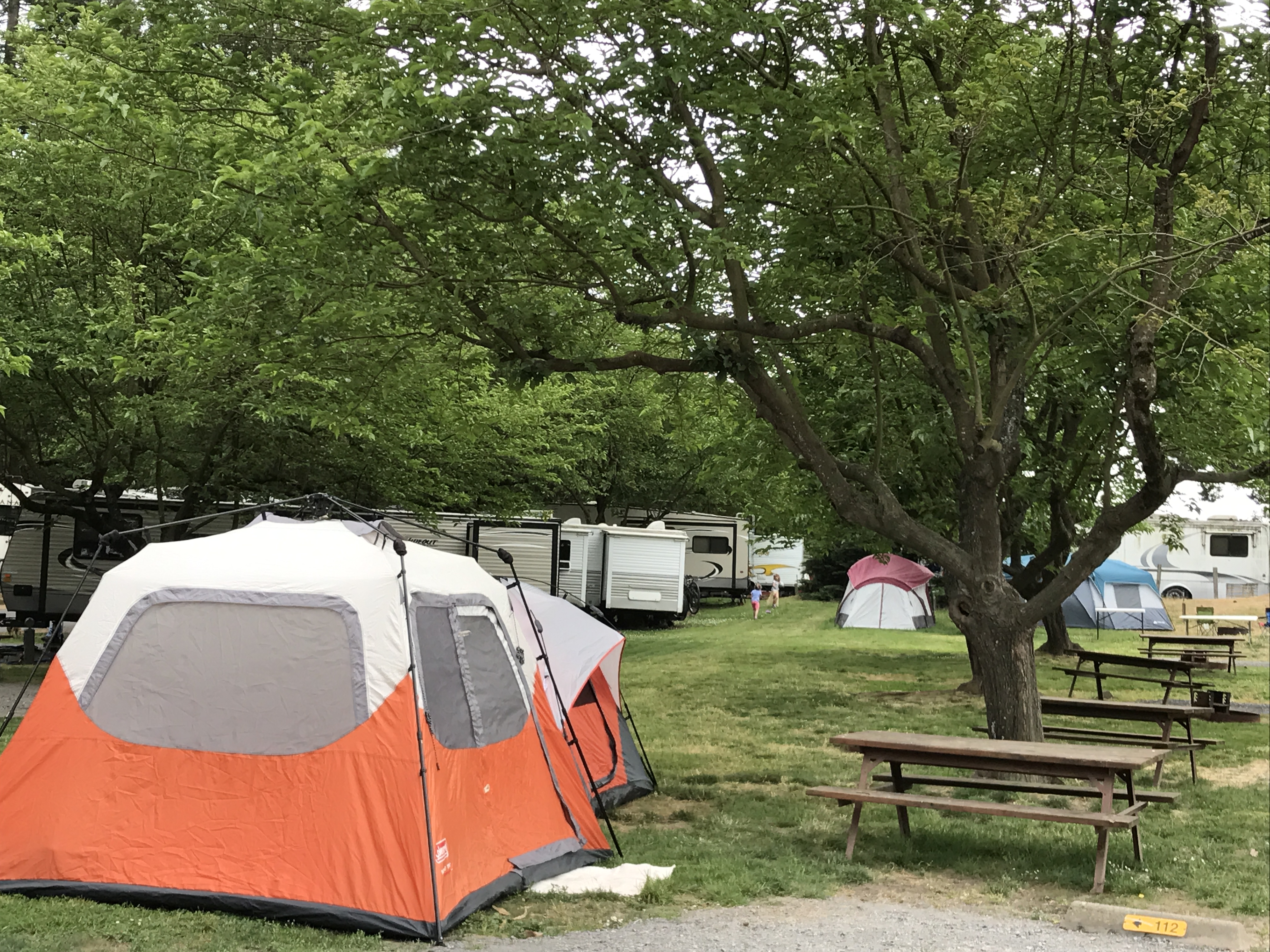 Tent sites have room for a tent,  a picnic table, firepit and parking for 1 vehicle. Extra vehicles may be parked for free in our lower parking area.