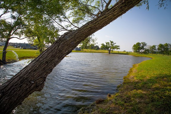 Catch and Release Fishing Pond