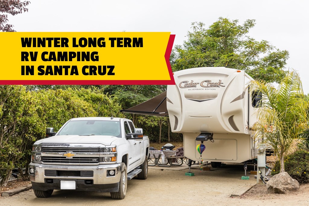 The Ultimate Guide for Long Term Camping in Santa Cruz
