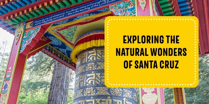 Exploring the Natural Wonders of Santa Cruz