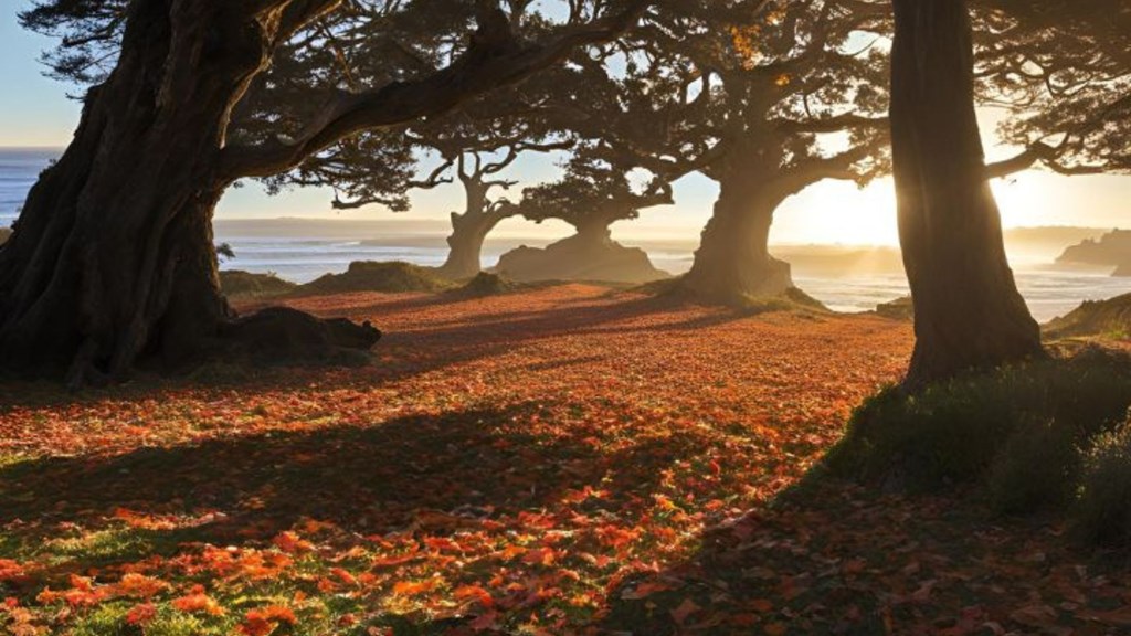 Discover Fall Hiking and Walks in Santa Cruz, CA
