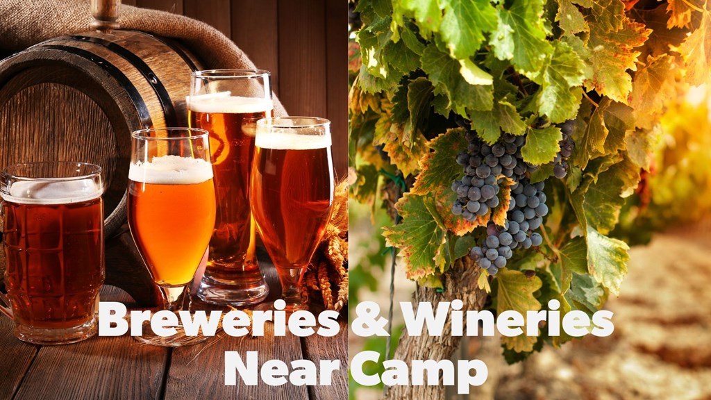 Breweries & Wineries Near Camp