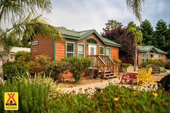 Cozy and Comfortable Deluxe Cabins