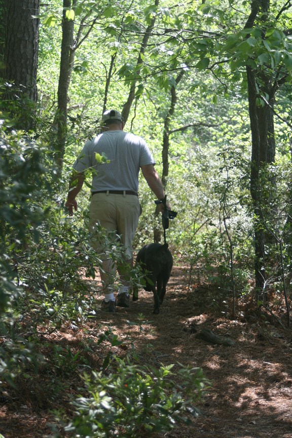 Hiking