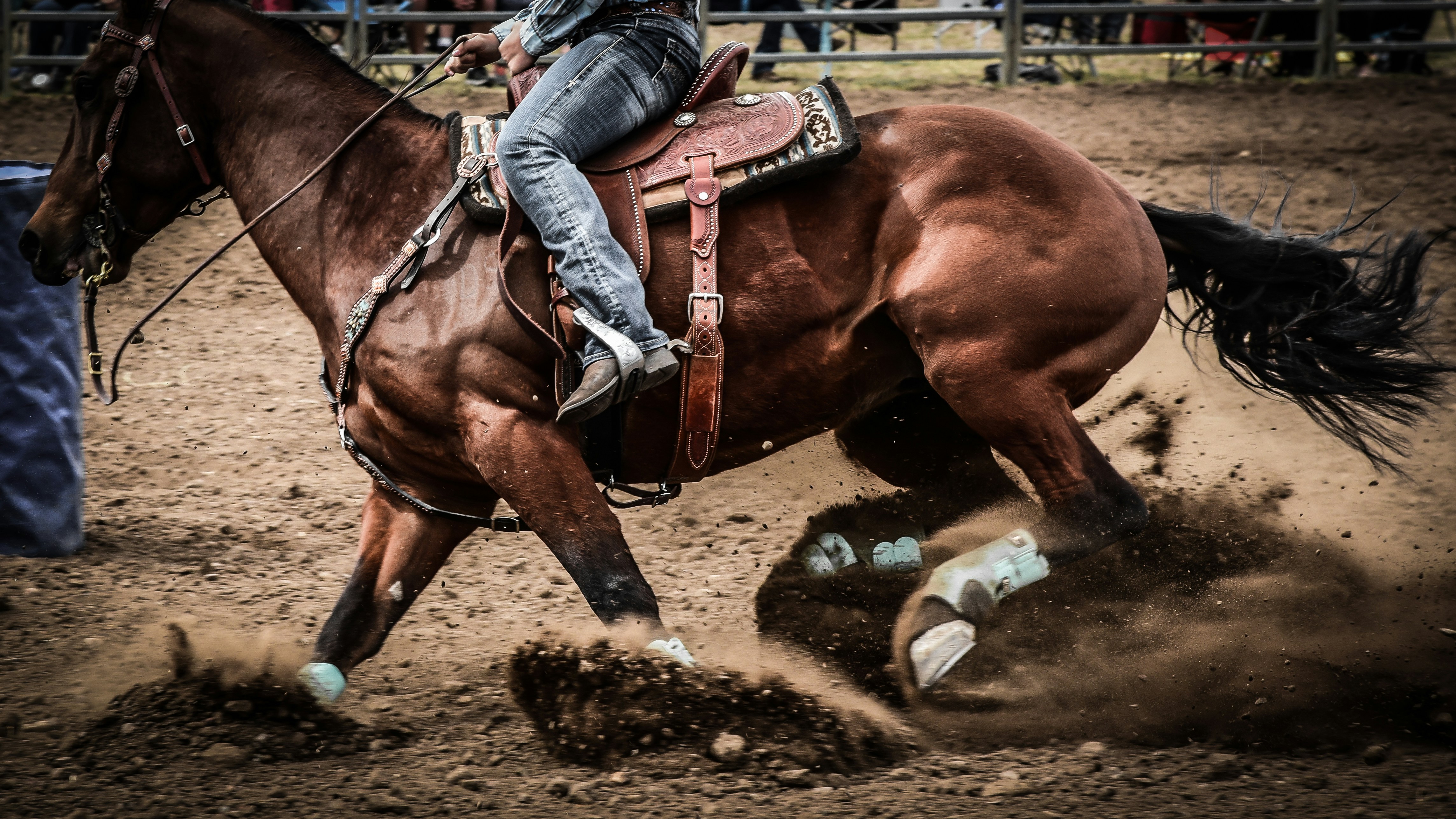 Rodeo De Sante Fe Pro Rodeo Photo