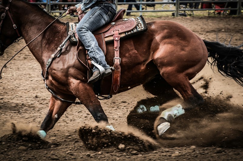Rodeo De Sante Fe Pro Rodeo Photo
