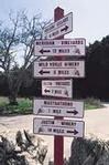 Breakaway Paso Robles Wine Tours
