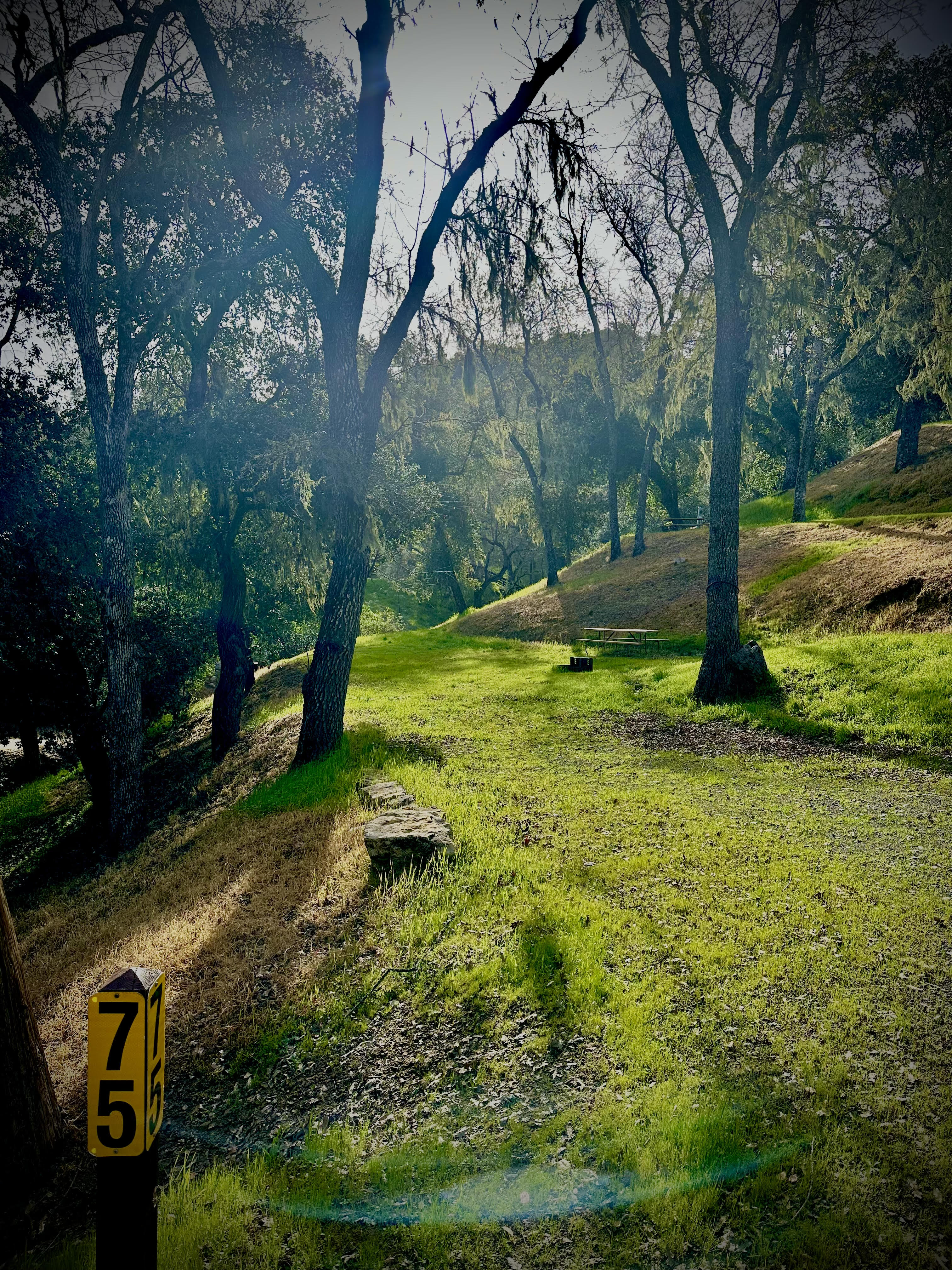 SITE # 75