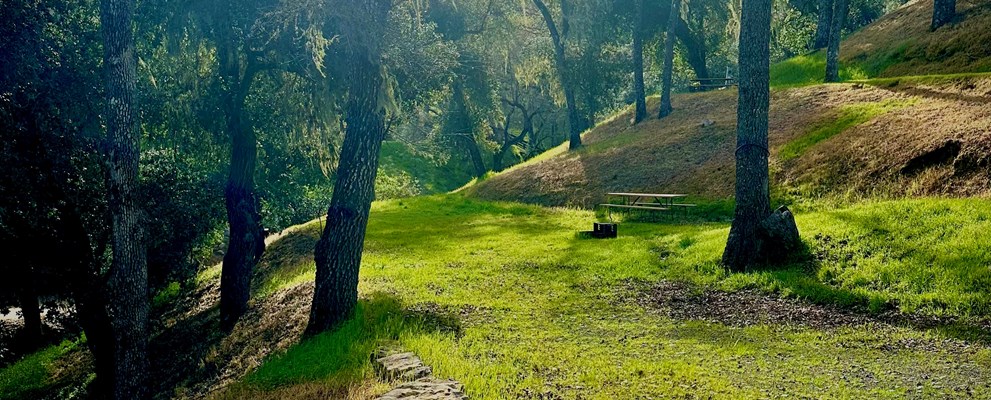 SITE # 75
