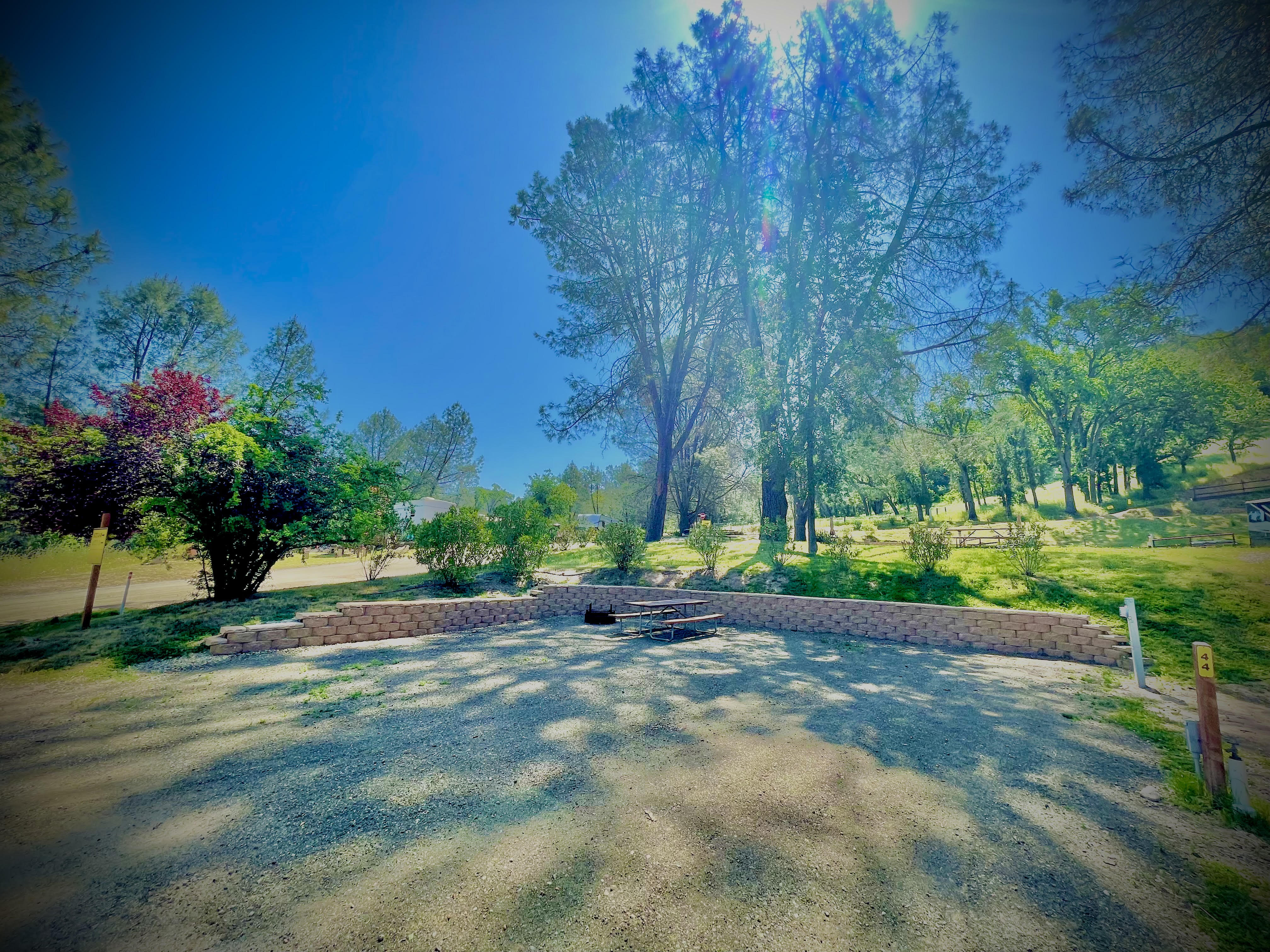 Site 44