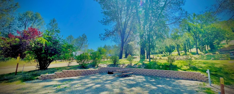 Site 44