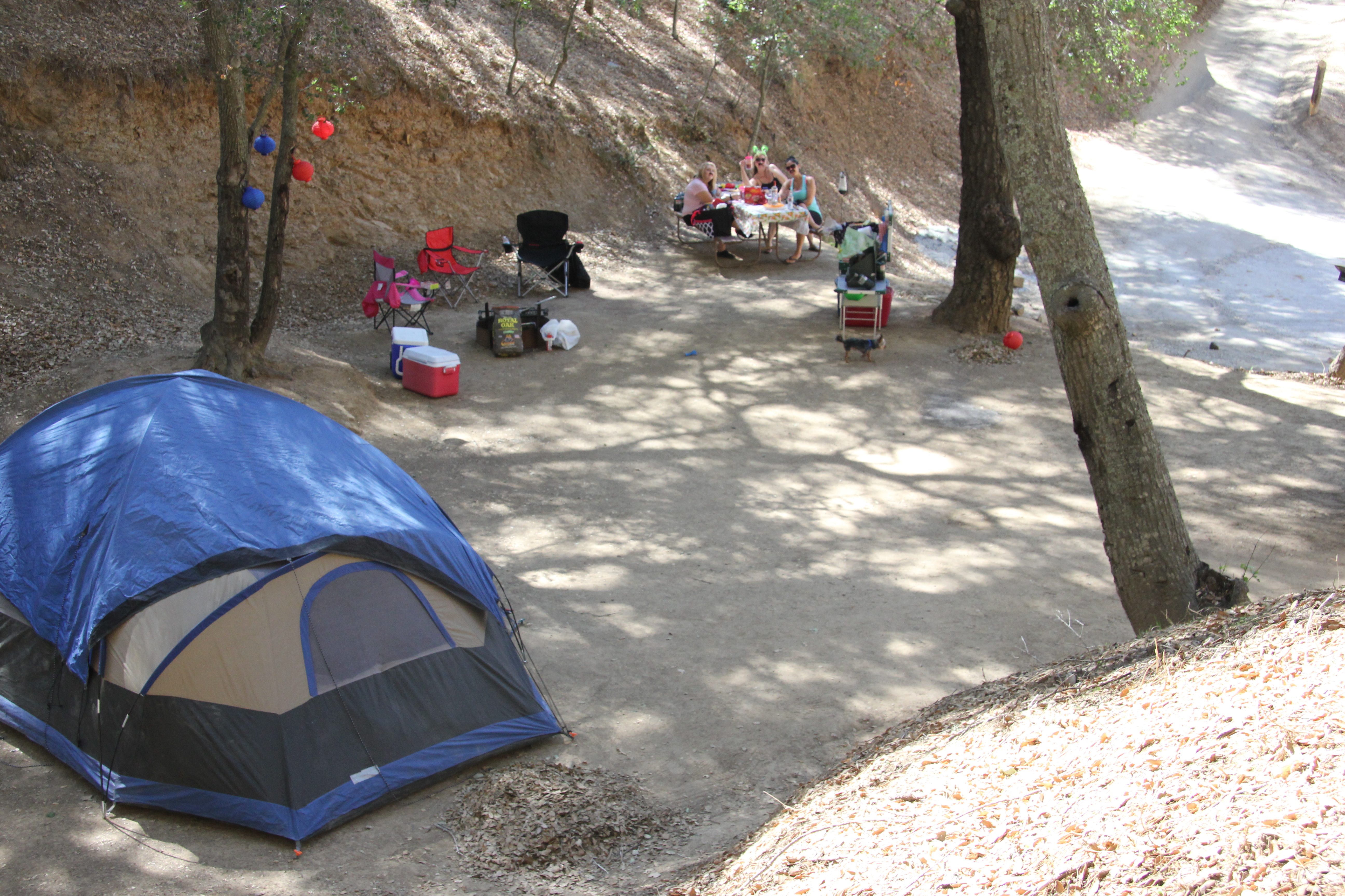 #25 Cul-de-Sac Tent Site