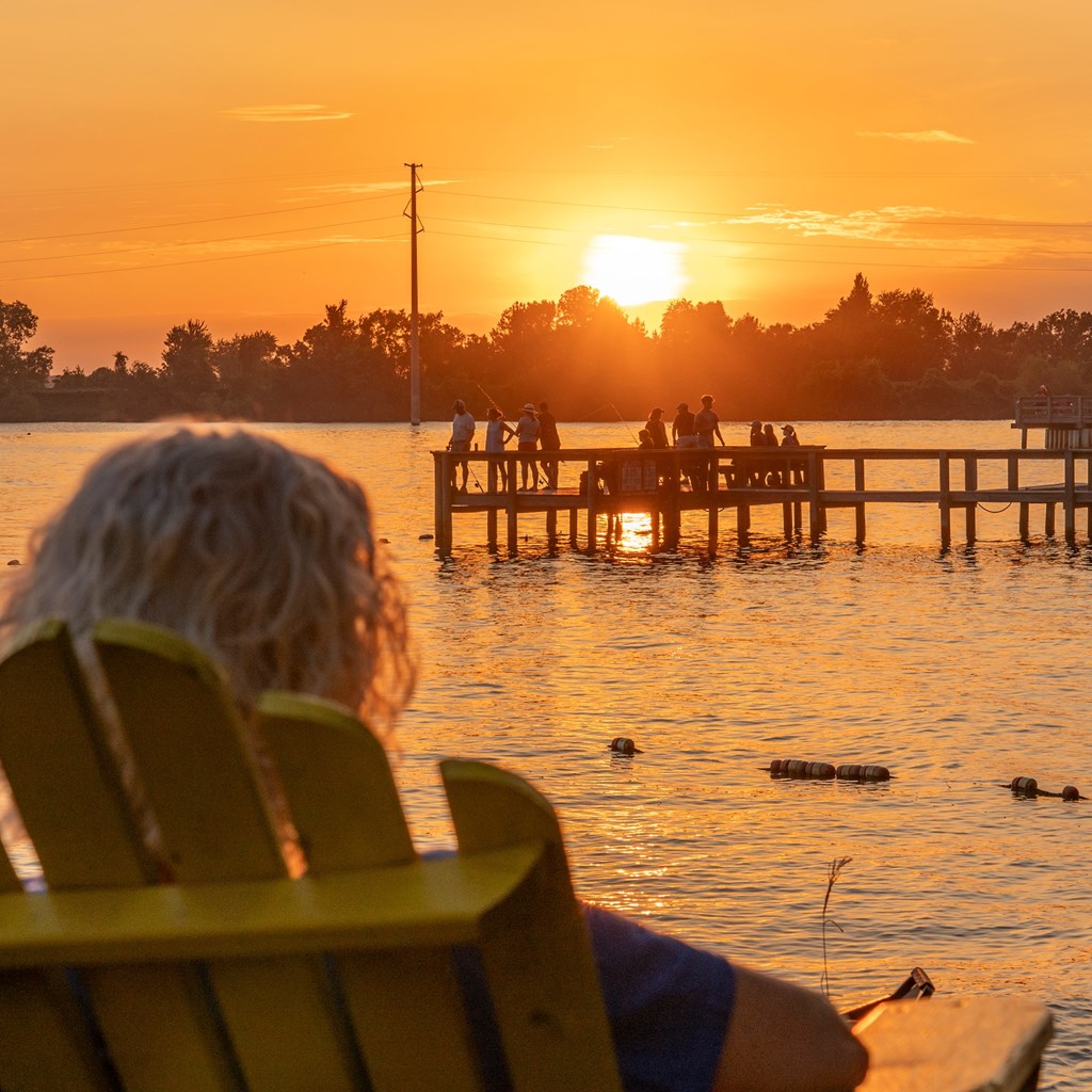 The Best Family-Friendly Stops Between Columbia, Charleston,
