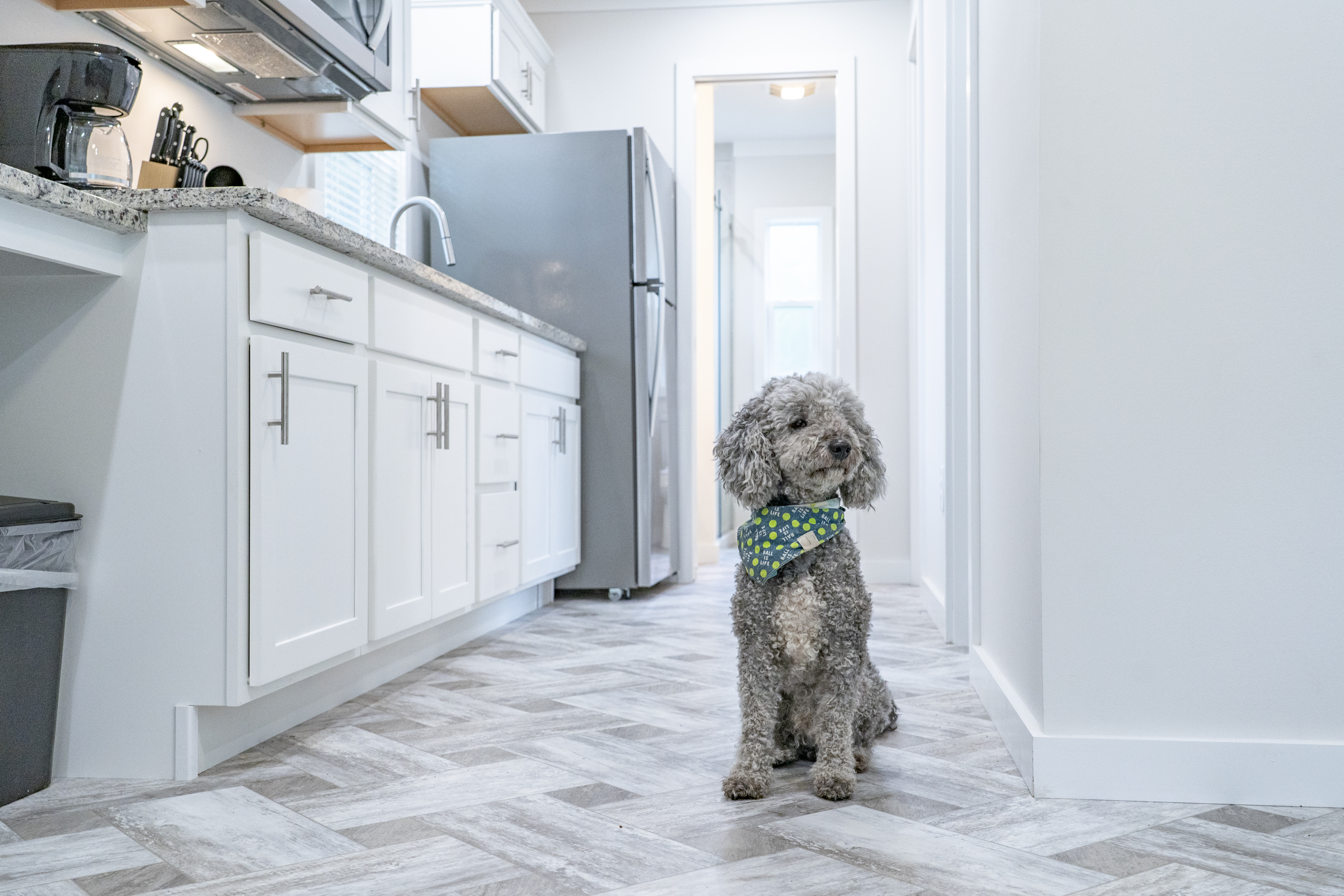 Cottages: Pet-friendly-kitchen