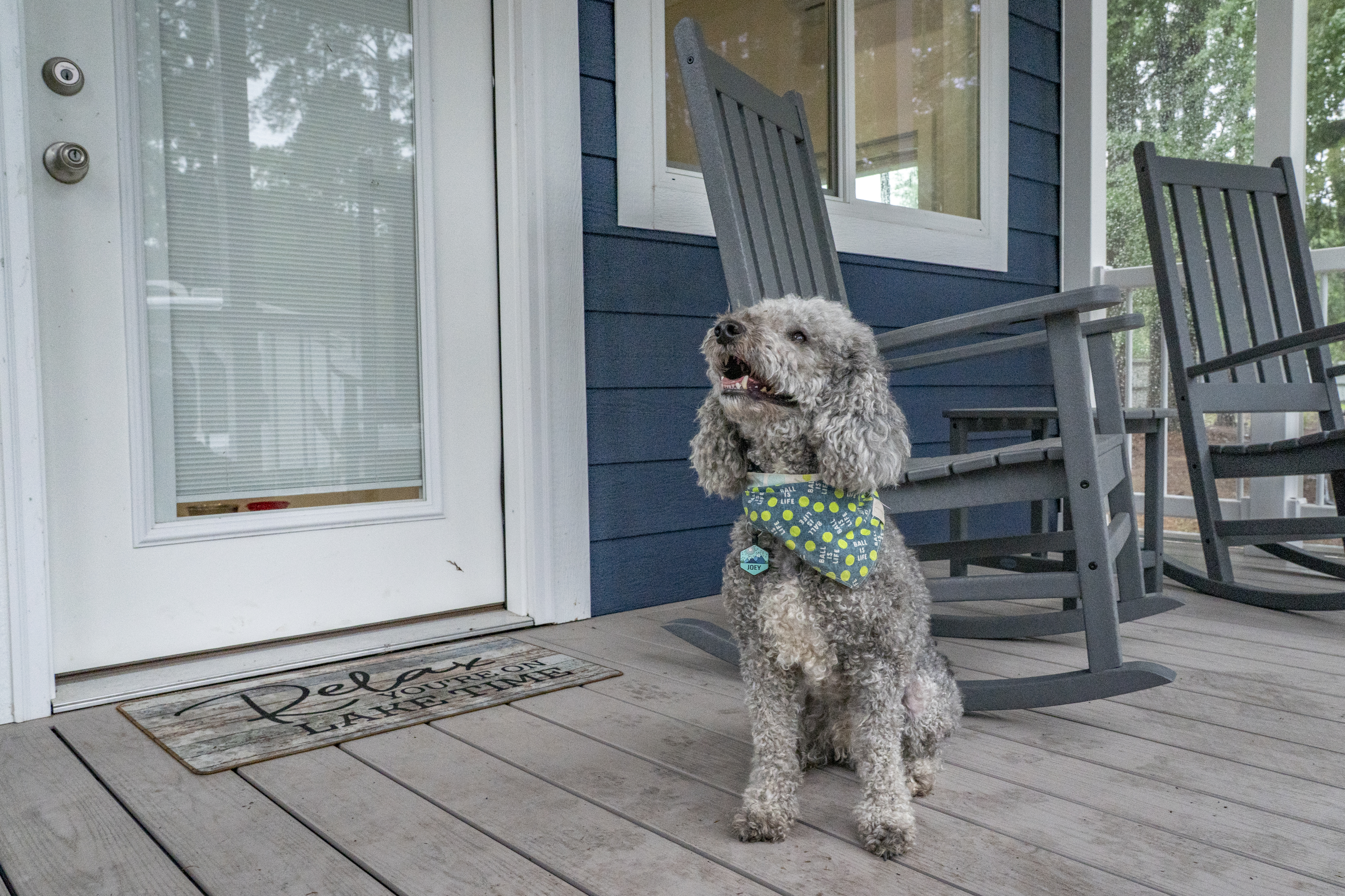 Cottages: Door-Steps-Pet-Friendly
