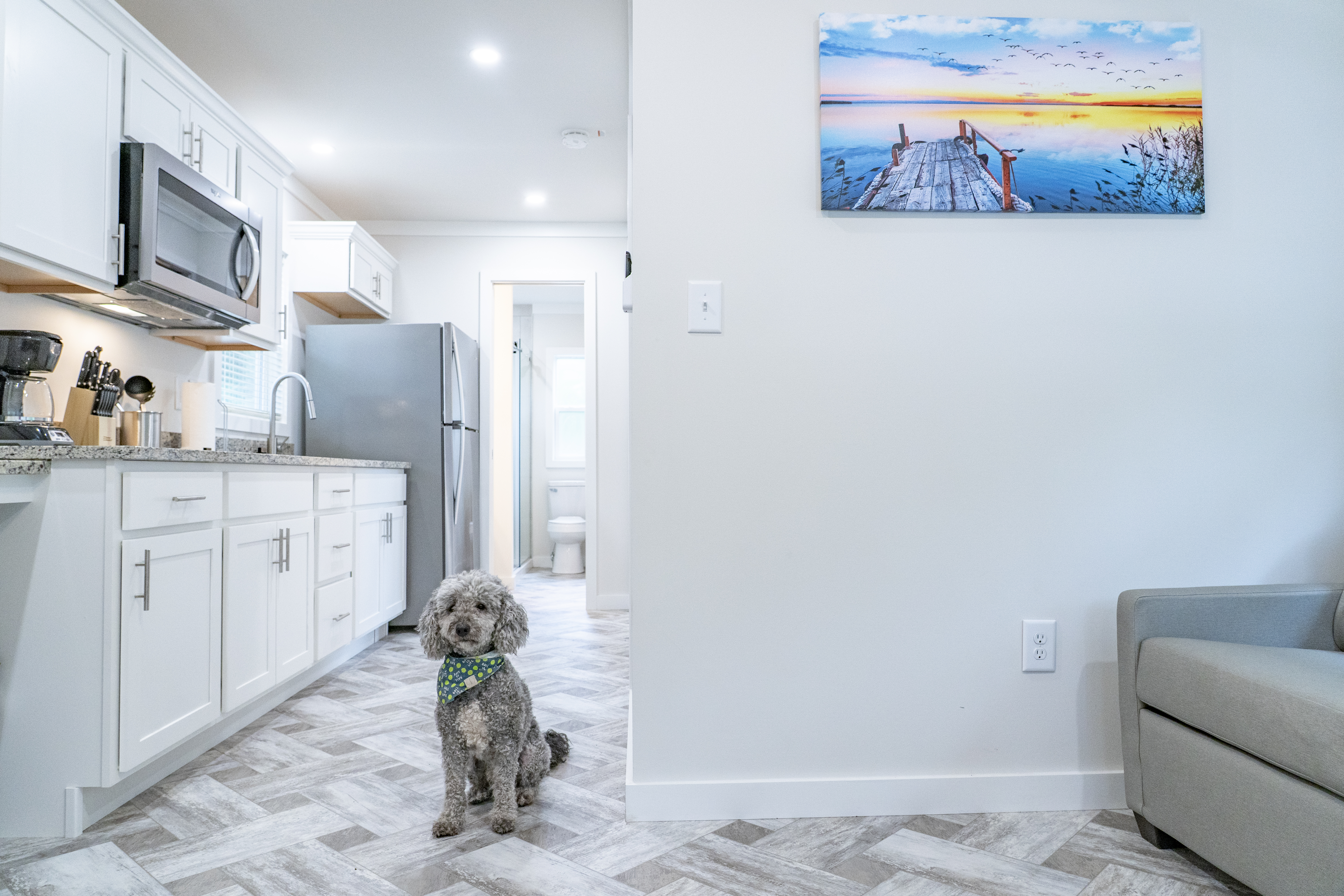 Cottages: Dog-Living-Room