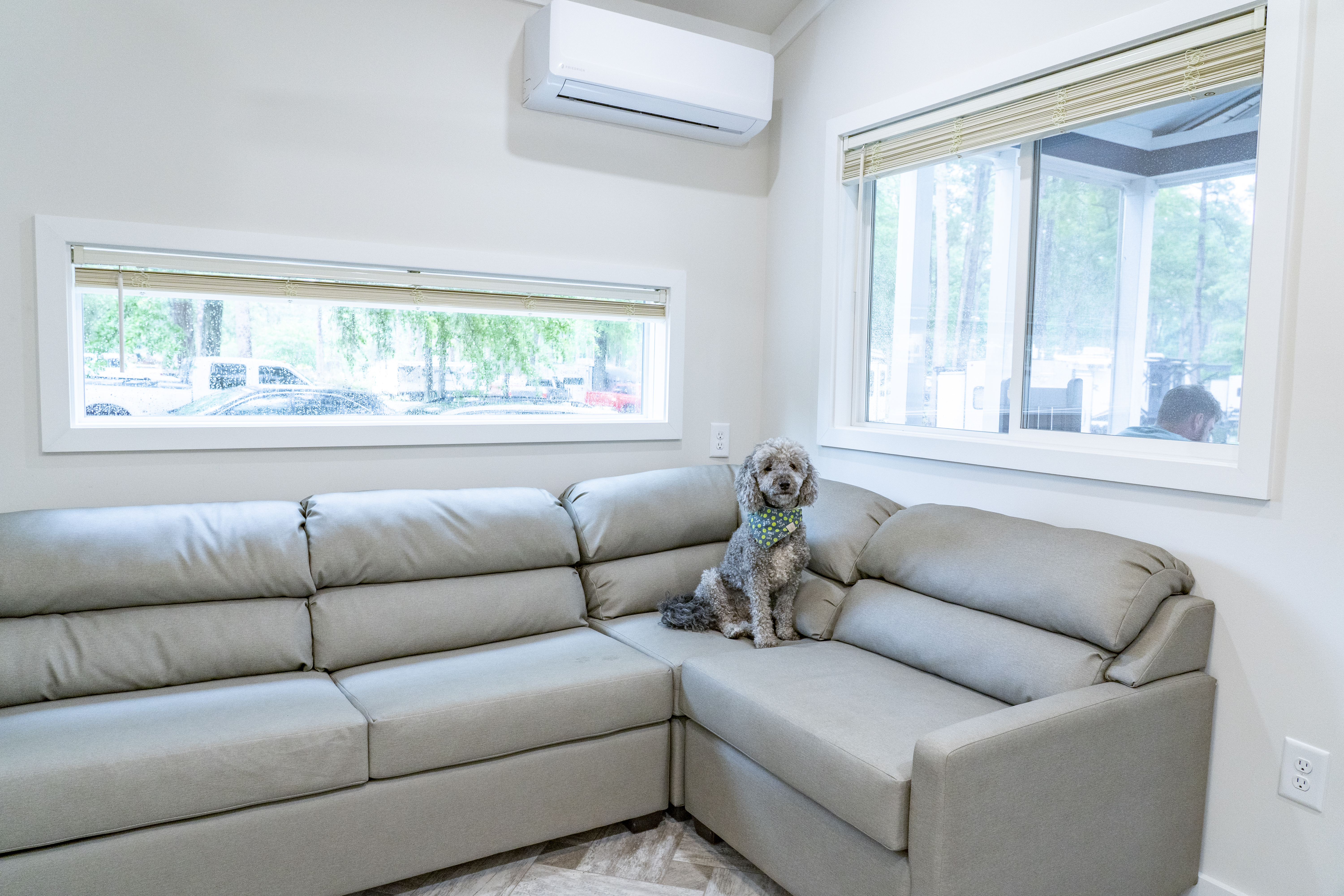 Cottages: Dog-Sofa-Living-Room