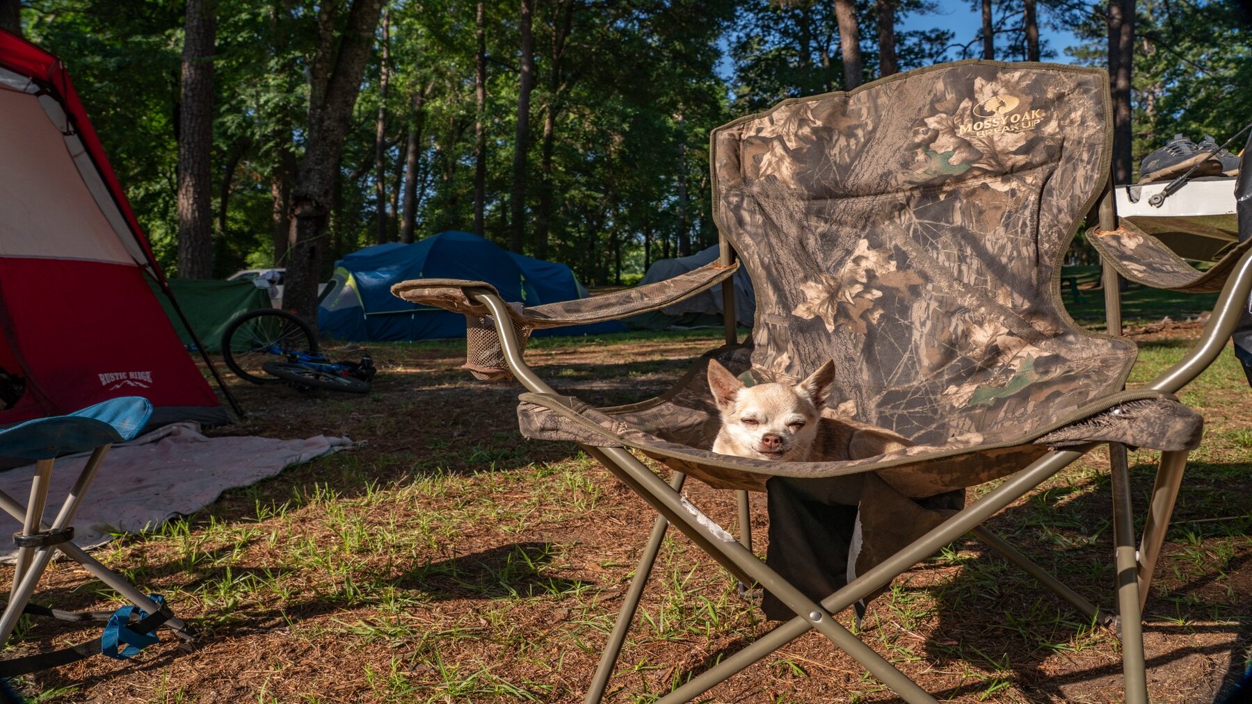 Tent