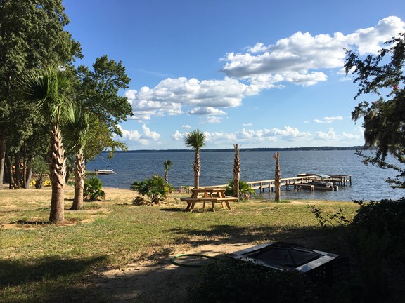 Santee Lakes Dock and Palms