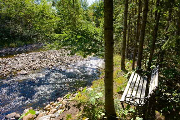 Hiking Trails