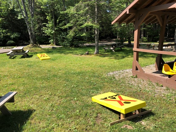 New Fun Games!