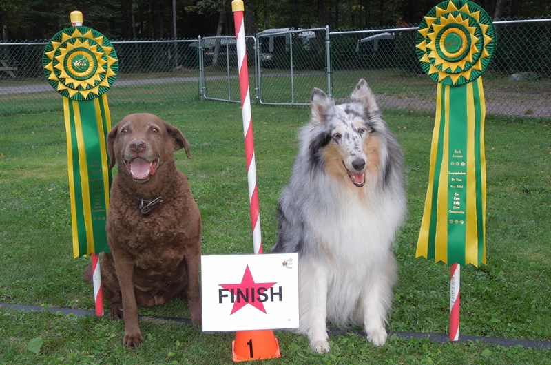 CARO Rally Obedience Dog Trial Photo