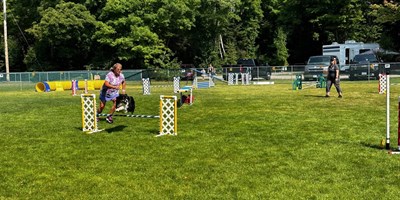 AAC Dog Agility Trial