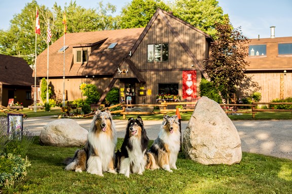 Welcome to our KOA!