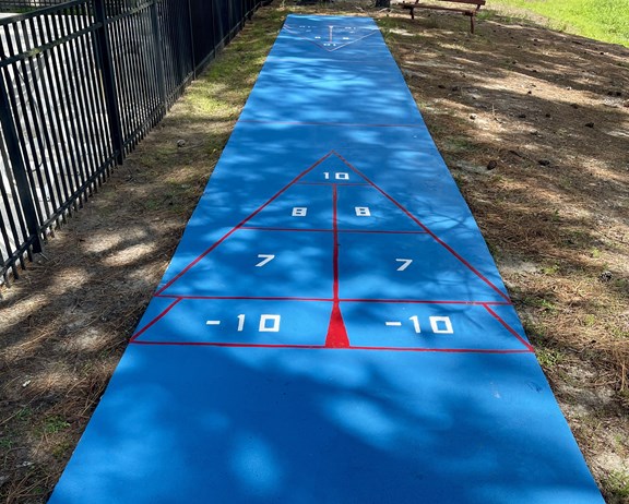 Shuffleboard Court