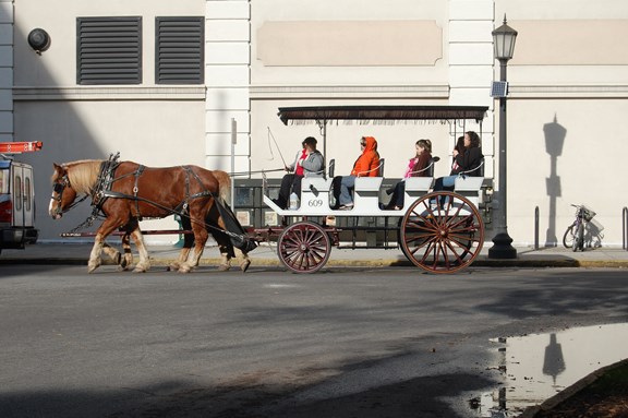 Carriage Tours of Savannah