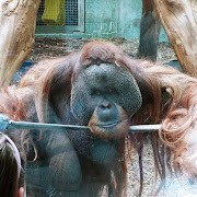 Louisville Zoo