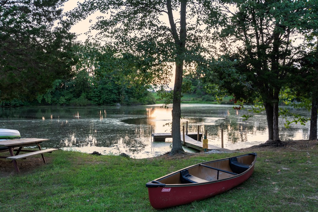 Embrace Adventure: Kayaking, Canoeing, and Paddle Boating