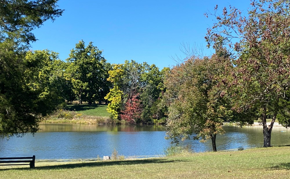 Catch & Release Fishing Lake