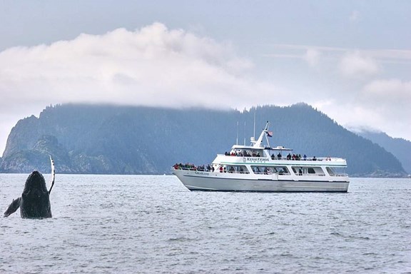 Kenai Fjords Tours