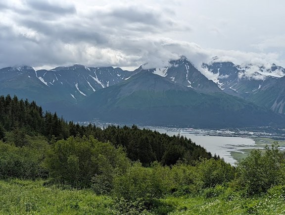 Hike Mt. Alice