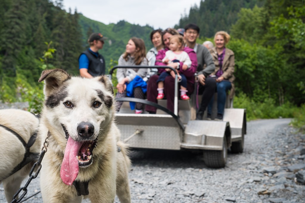 Planning Your Perfect Alaska Itinerary