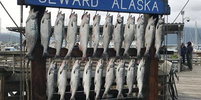 Seward Salmon Derby