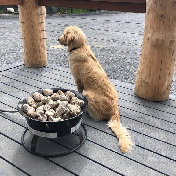 Everyone loves a campfire