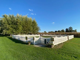 Pet Playground