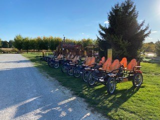 Pedal Karts