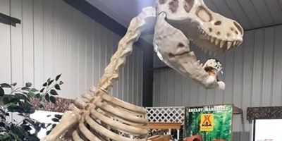 T-REX TAKEOVER WEEKEND
