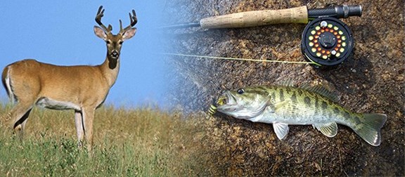 Fishing & Hunting