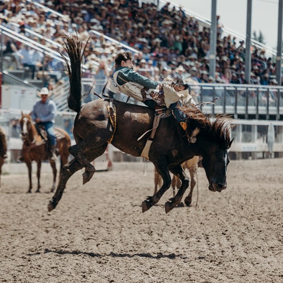 Sheridan WYO Rodeo