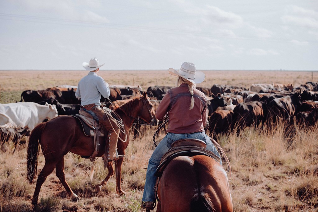 Top 20 Sites to Explore Near Sheridan, Wyoming