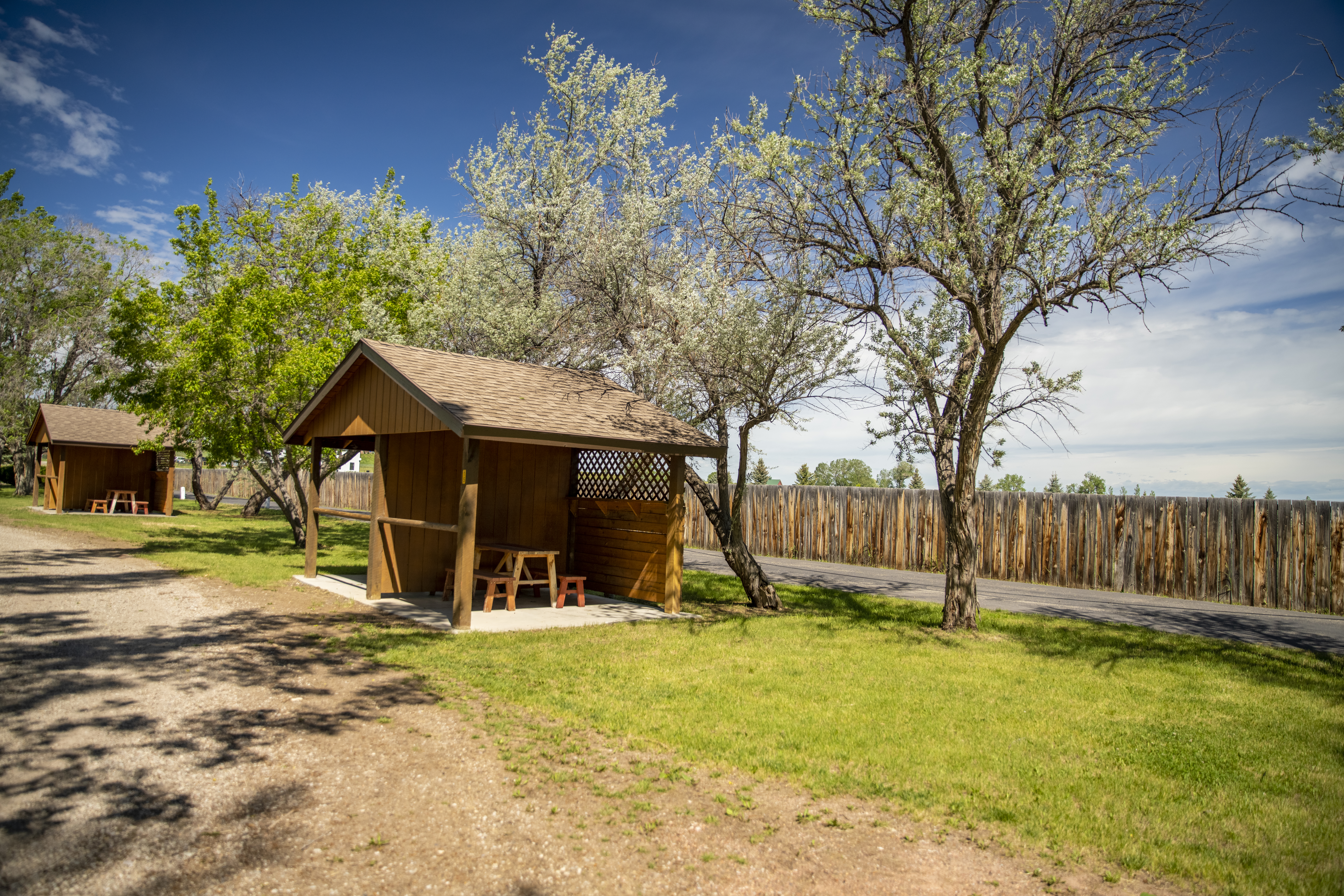 Sheridan/Big Horn Mountains KOA Individual Tent SIte