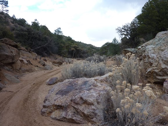 4-Wheeling and Jeeping