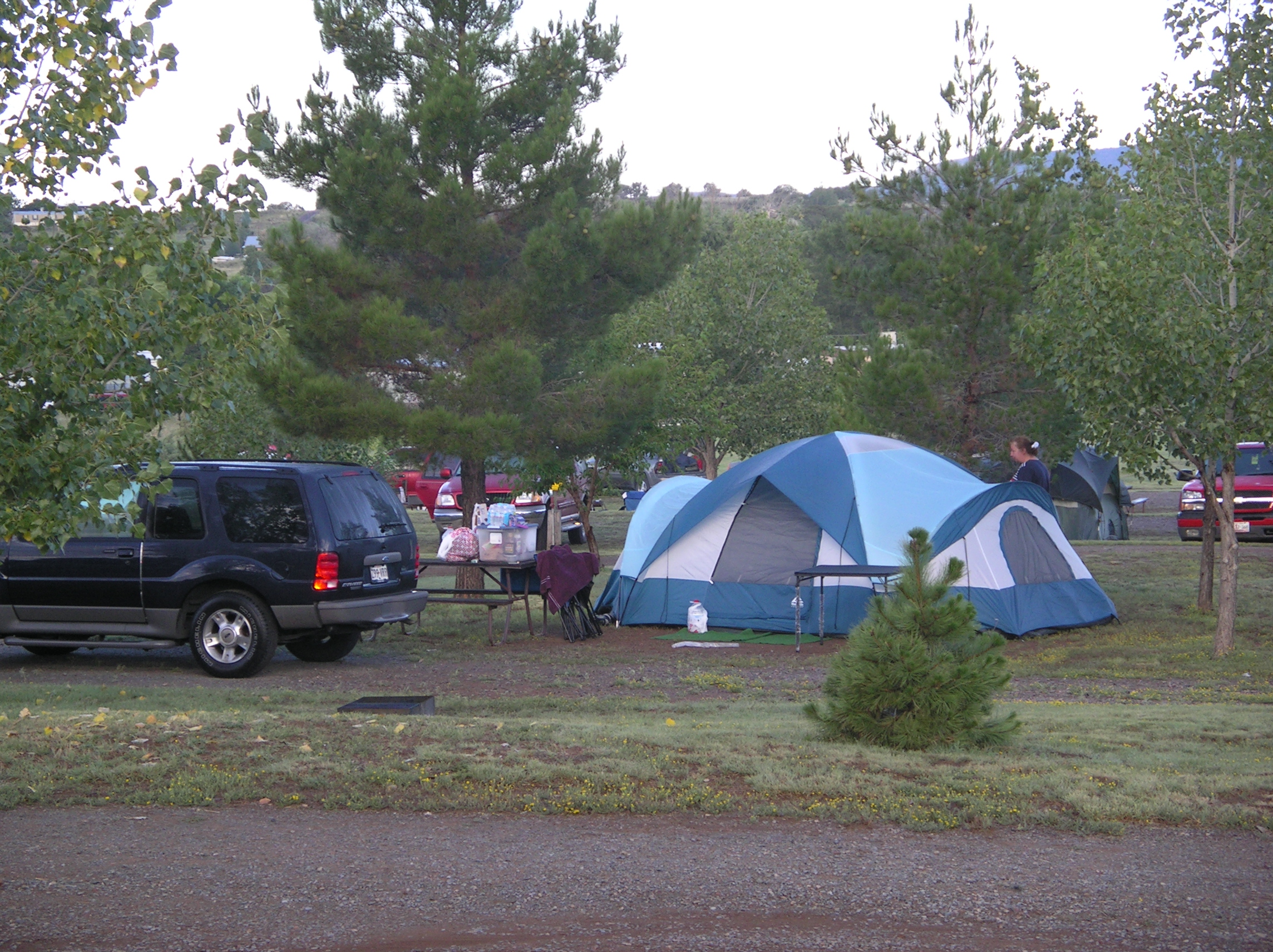 Grass Tent Sites
