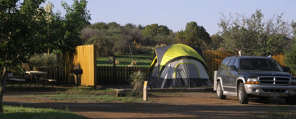 Deluxe Tent Site 65 with Privacy Fence & Fire Pit