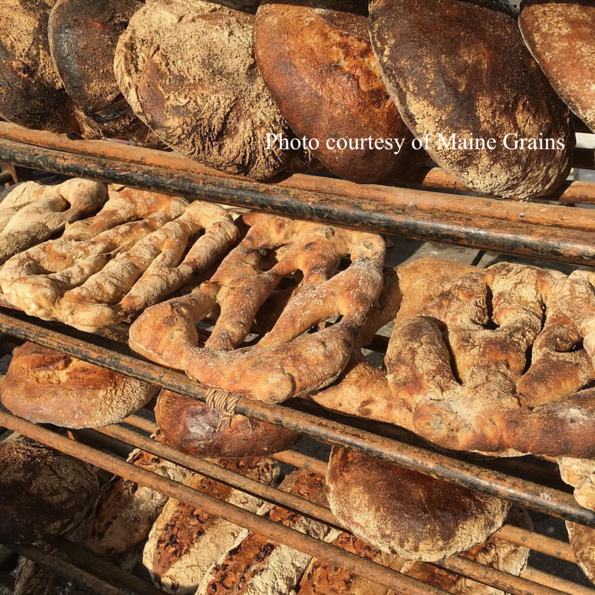 The Maine Artisan Bread Fair Photo