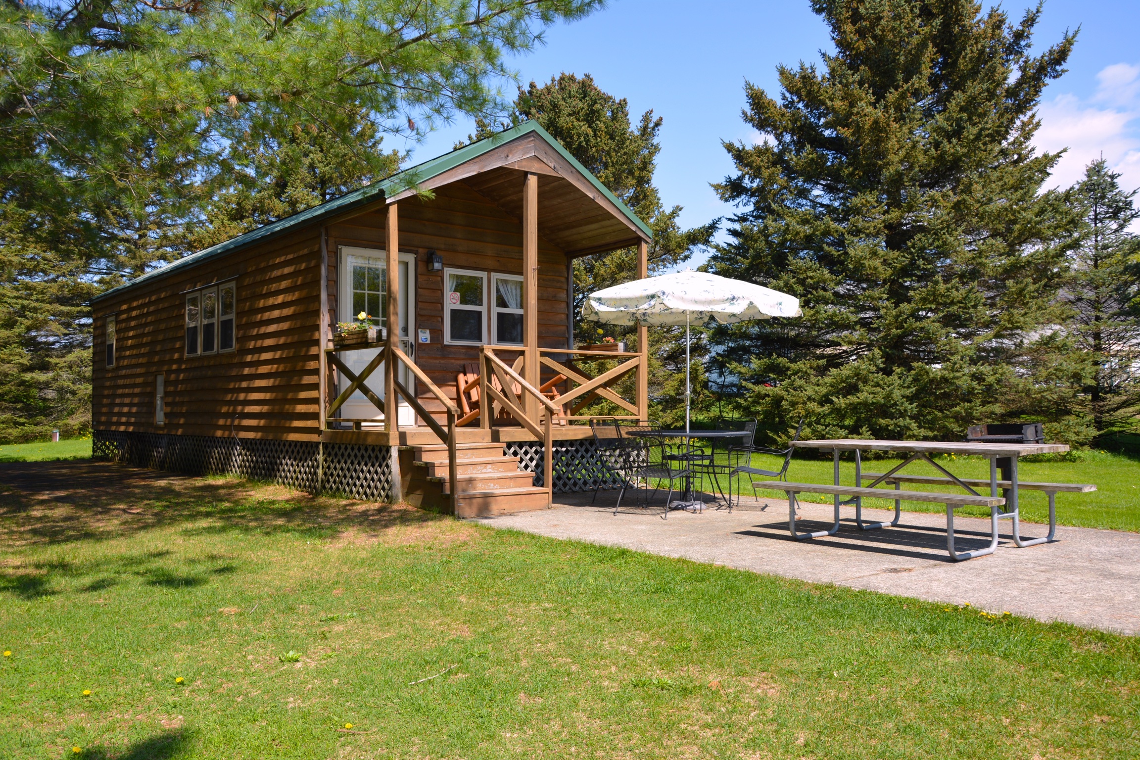 Bear Deluxe Cabin